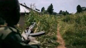 Lire la suite à propos de l’article Nord-Kivu : 2 miliciens neutralisés et 6 armes récupérées par l’armée à Lubero