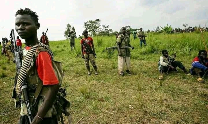 You are currently viewing Est de la RDC : les otages enlevés par des ADF à Eringeti, sont tous retrouvés morts