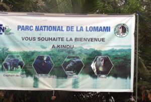 Lire la suite à propos de l’article RDC : L’institut Congolais pour la conservation de la Nature Parc National de la Lomami lance un appel à la candidature pour le recrutement d’un Avocat ou Cabinet d’avocat