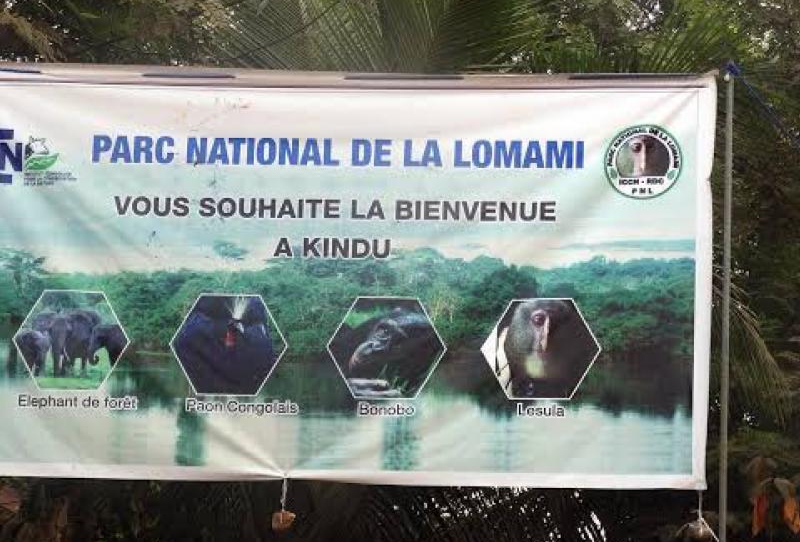 You are currently viewing RDC : L’institut Congolais pour la conservation de la Nature Parc National de la Lomami lance un appel à la candidature pour le recrutement d’un Avocat ou Cabinet d’avocat