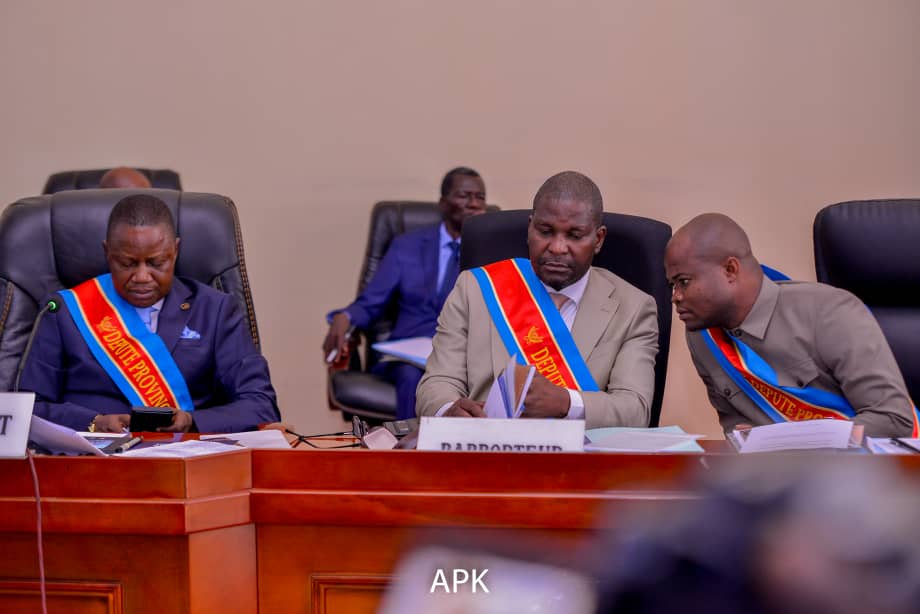 You are currently viewing Kinshasa : Les députés provinciaux reprennent les plénières ce mercredi