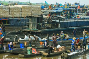 57ème journée nationale du poisson : Le Président Félix Tshisekedi visite le débarcadère de kinkole