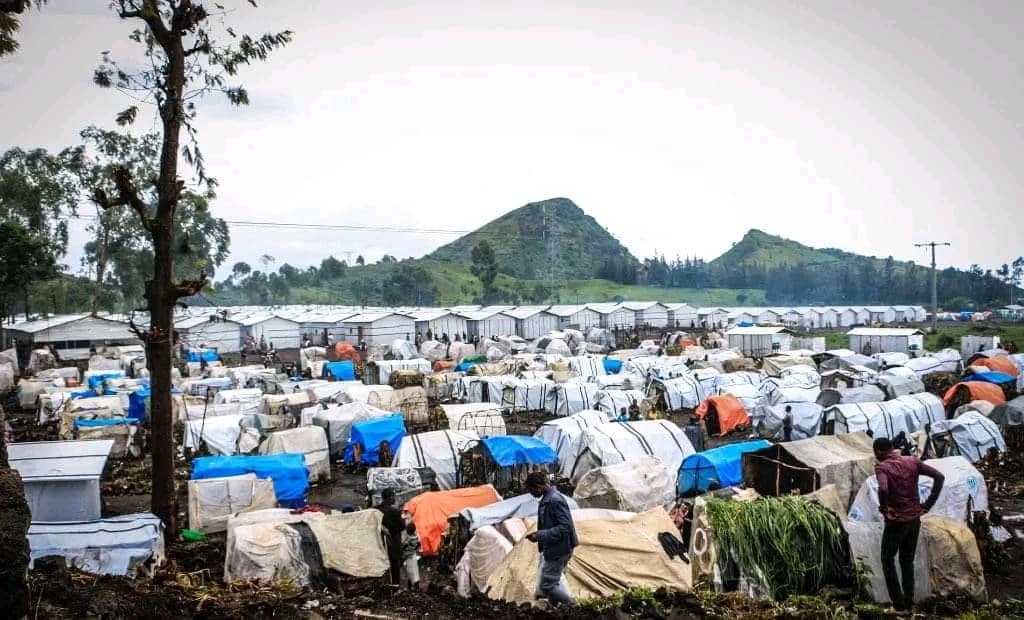 You are currently viewing Tempête Dévastatrice au Camp des déplacés de Lushagala : Des dizaines de familles sans abri