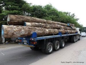 Lire la suite à propos de l’article RDC: Un moratoire est accordé aux opérateurs des concessions forestières jusqu&rsquo;au 31 juillet pour s&rsquo;en acquitter de leur redevance