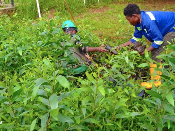 You are currently viewing RDC: Au cœur d&rsquo;un rapport accablant de la Cour des comptes, Honoré Mulumba veut à tout prix reprendre les commandes du FFN
