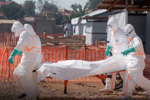 Lire la suite à propos de l’article Santé : un premier cas de virus Ebola confirmé en France ; il s&rsquo;agit d&rsquo;un médecin revenant d&rsquo;une zone touchée en RDC