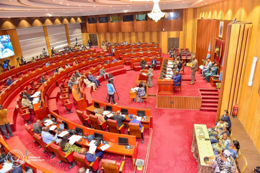 RDC : le Sénat examine ce lundi la loi portant sur la lutte contre la maladie de la drépanocytose