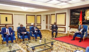 Lire la suite à propos de l’article Est de la RDC : le processus de reddition volontaire des FDLR au centre des échanges entre João Lourenço et les émissaires de Tshisekedi